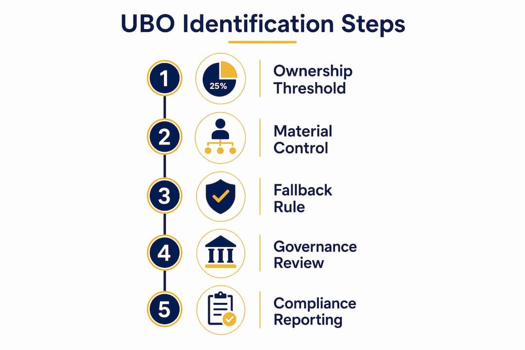 Infographic illustrating UBO identification steps